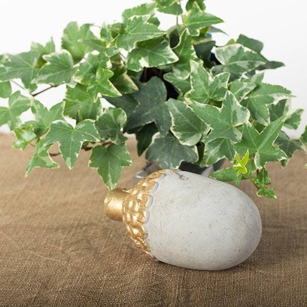 Cement Acorn, Large