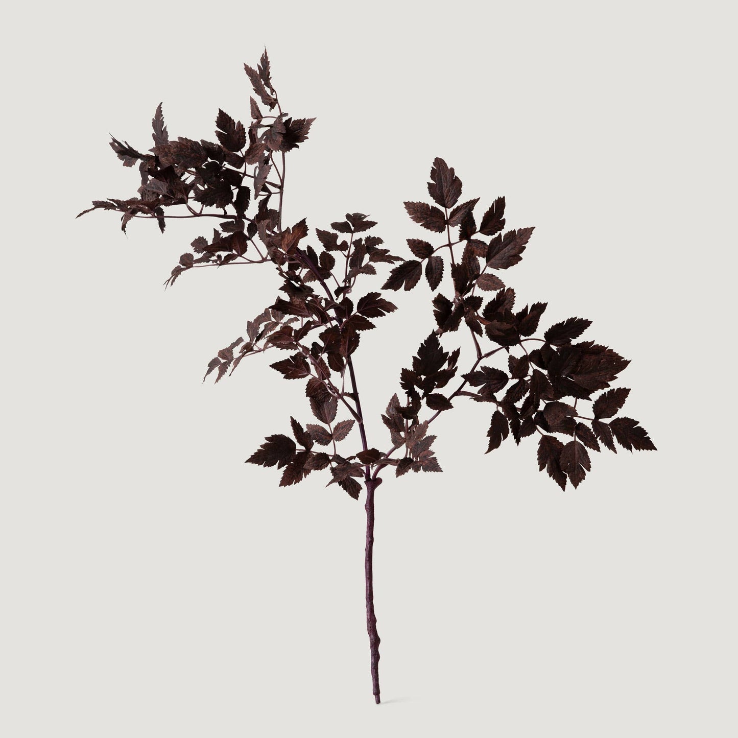 Afloral Plum Artificial Cimicifuga Plant Leaves - 31"
