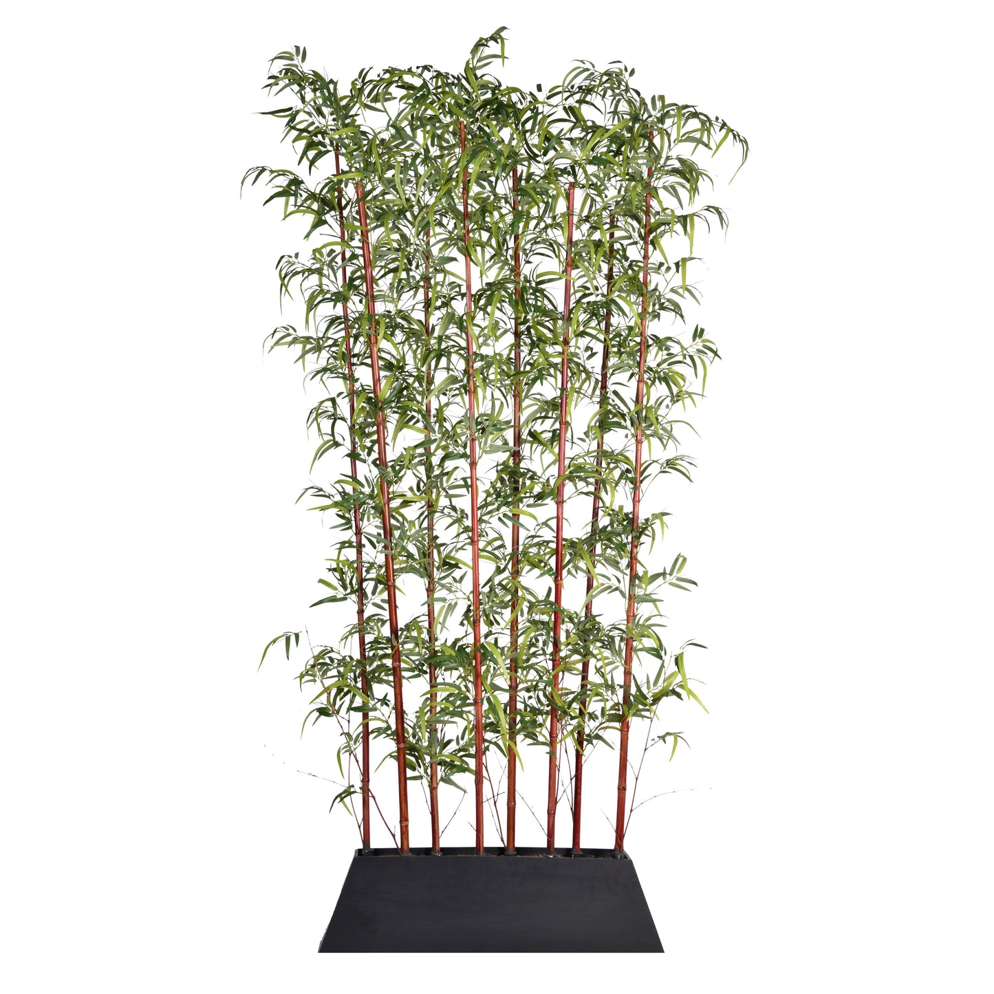 96" Tall Burgundy Bamboo Screen in Pot - KD