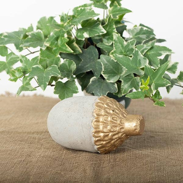 Cement Acorn med