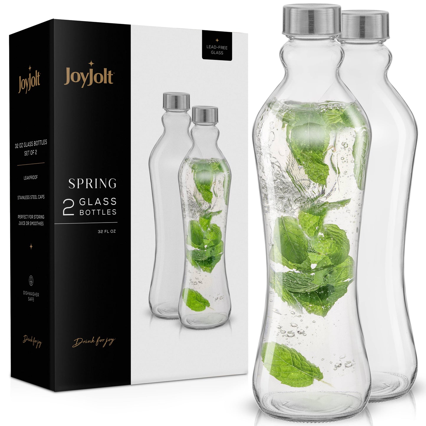 Glass Water Bottles with Stainless Steel Cap - Set of 2