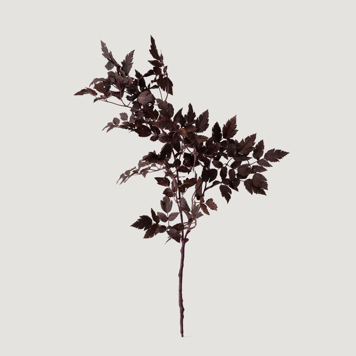 Afloral Plum Artificial Cimicifuga Plant Leaves - 31"