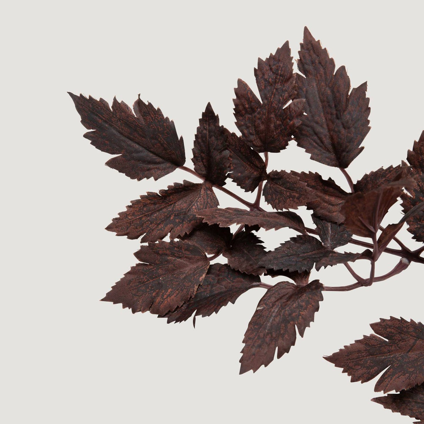 Afloral Plum Artificial Cimicifuga Plant Leaves - 31"